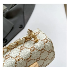 Macro shot of white lychee leather texture with brown patterns and gold chain links