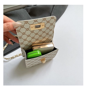 Detailed view of mini chain bag interior holding a powder compact and small case