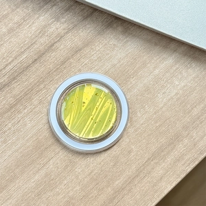 Dettaglio del supporto magnetico per telefono con trama pittura a olio e resina dorata