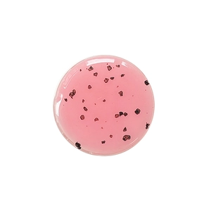 Pink translucent jelly texture with scrubbing particles for face and lip care gel