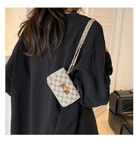 Detail of the vintage chain strap and gold twist-lock on the mini crossbody bag