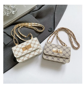 Minimalist vintage chain bag with golden lock and classic monogram texture display