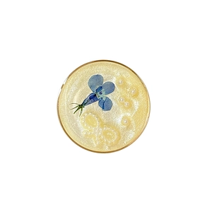 Support de téléphone en résine dorée avec fleur séchée bleue et perles fines