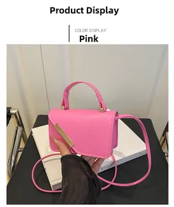Close-up of pink mini crossbody bag with gold metal trim on white books background