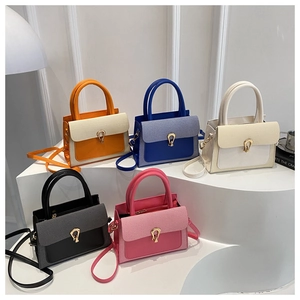 Close-up of stylish small square bags with lychee grain texture and metal horse-bit buckles