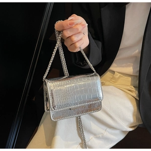 Close-up of silver crocodile pattern mini bag with luxury metal chain strap detail