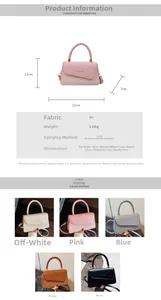 Spécifications de taille et choix de couleurs pour ce sac à main carré à rabat tissé