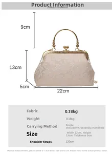 Détails du sac de soirée brodé champagne avec dimensions et poignée métallique chic