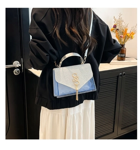 Detail of blue transparent crossbody bag with silver glitter flap and gold SS hardware