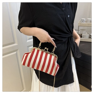 Detailed shot of striped shell bag with gold metal clasp and detachable chain strap