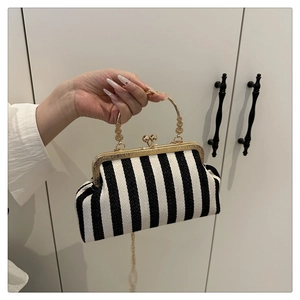 Detailed view of vintage striped handbag with golden kiss-lock frame and chain strap