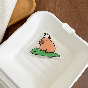 Close-up of cute cartoon capybara on crocodile phone grip holder inside a small box
