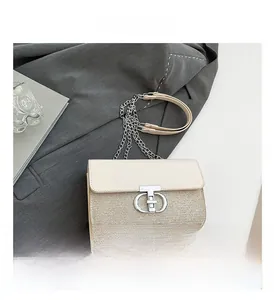 Detailed view of beige chain handbag with metallic texture and elegant silver T-lock