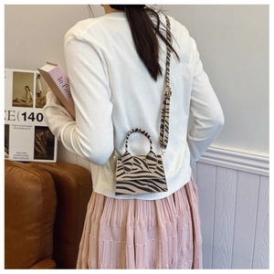 Zebra print mini crossbody bag shown on a shoulder strap in a stylish interior setting
