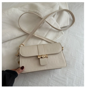 Detail of off-white crocodile texture mini square bag with elegant gold metal buckle closure
