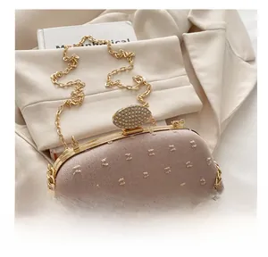 Detail of the elegant evening bag showing a gold hardware clasp with sparkling rhinestones