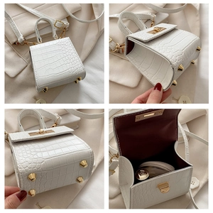 Detailed views of white crocodile pattern mini bag with gold hardware and red lining