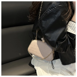 Close-up of beige handbag with rhinestone buckle and fine gold chain strap details