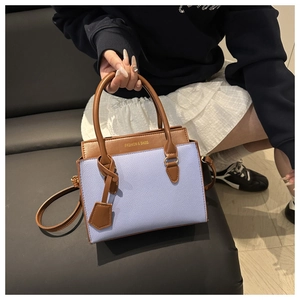 Detail of lavender and brown patchwork handbag with gold text and long strap held by model