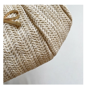 Close-up of beige woven handbag texture with premium golden metal buckle detail