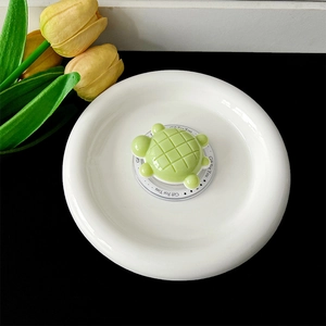 Gedetailleerd bovenaanzicht van een schattige groene 3D schildpad magnetische grip.