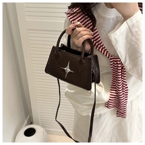 Detail of dark brown crocodile pattern handbag with silver star buckle and strap