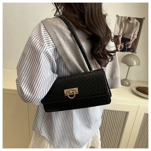 Close-up of black woven underarm bag featuring a golden horseshoe metal clasp