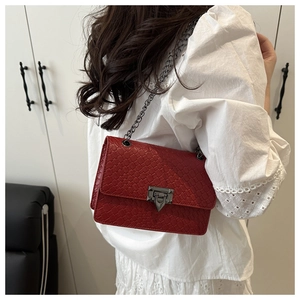 Close-up of red crocodile embossed crossbody bag with silver chain and metal clasp detail