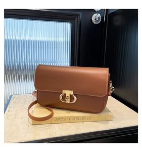Close-up of brown PU leather bag with decorative gold metal buckle on an art book