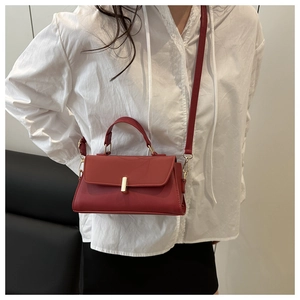 Red matte leather crossbody bag featuring a minimalist top handle and gold metal clasp