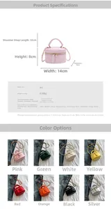 Detaillierte Parametertabelle und Farbauswahl für die Mini-Stepptasche mit Kette