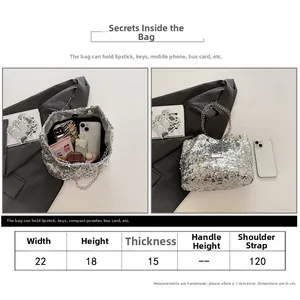 Detailed size chart for silver sequined bucket bag showing dimensions and storage capacity