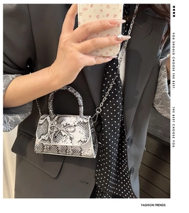 Nahaufnahme der Mini-Tasche mit Schlangenmuster, Silberschleife und Metallkette