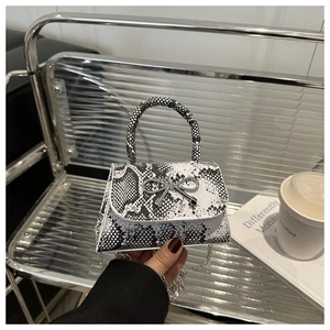 Close-up of snake skin pattern handbag with silver bow clasp and metal chain strap