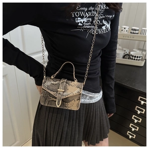 Detail shot of mini snake skin crossbody bag with gold chain strap and metal buckle