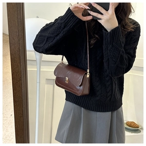 Detailed view of dark brown leather shoulder bag with elegant gold metal buckle clasp