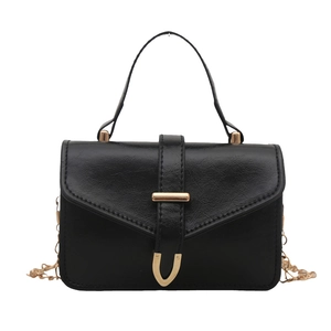 Classic black handbag with golden V buckle and chain strap on white background