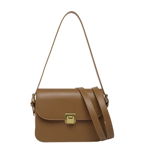 Brown leather crossbody square bag with vintage gold buckle and dual straps