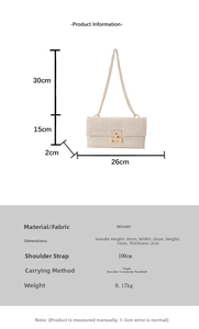 Detailed size chart for beige woven chain bag showing precise dimensions and strap length