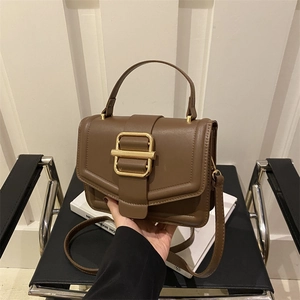 Minimalist dark brown square handbag with gold buckle and adjustable strap in retro style