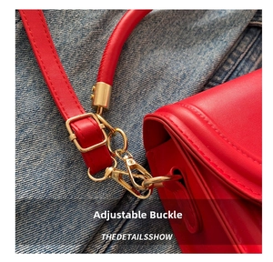 Detailed macro view of golden metal hardware and adjustable buckle on red leather handbag