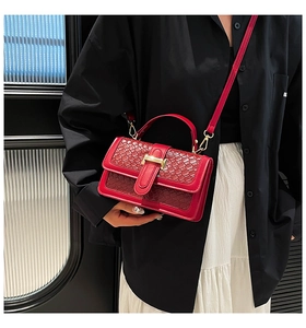 Detailed view of red woven texture crossbody bag with gold buckle and adjustable strap