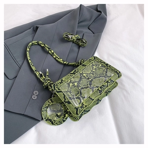 Détail du sac à main vert motif serpent avec porte-monnaie assorti et fenêtre transparente
