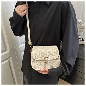 Model wearing a straw shoulder bag with floral embroidery and golden horseshoe clasp
