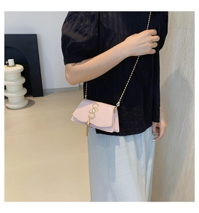 Pink mini crossbody bag with gold chain strap and fringe detail shown on a model