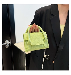 Détail d'un mini sac vert clair à motif crocodile avec chaîne argentée et poignée