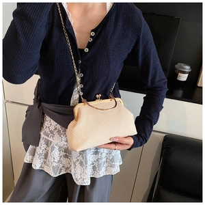 Detail of elegant beige woven texture shell bag with golden metal chain and vintage clasp