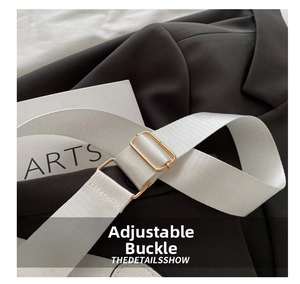 Detail of adjustable white nylon strap with light gold metal buckle on shoulder bag