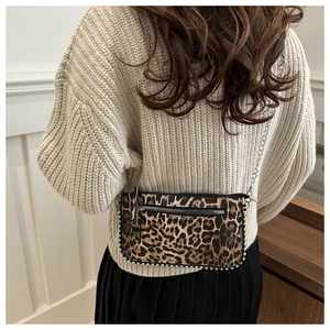 Detailed view of leopard print crossbody bag with silver studs and chain strap