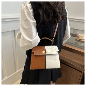 Détail du sac à main bicolore avec serrure en métal doré et bandoulière en cuir
